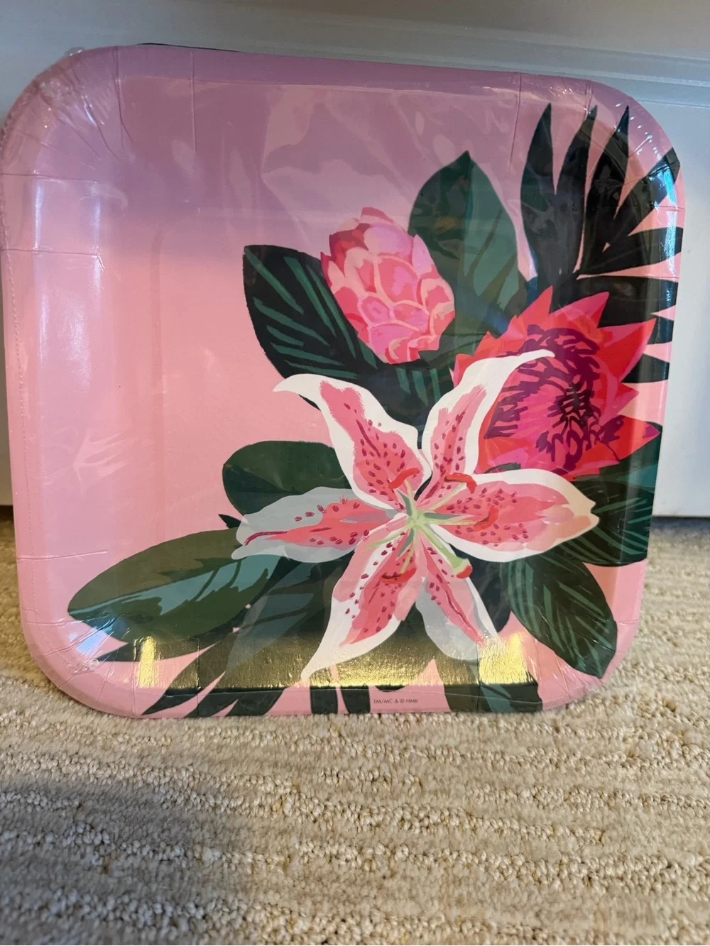 Floral Pink Paper Party Plates - Pack Set of 5